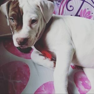 Meet your Posher, Peggy